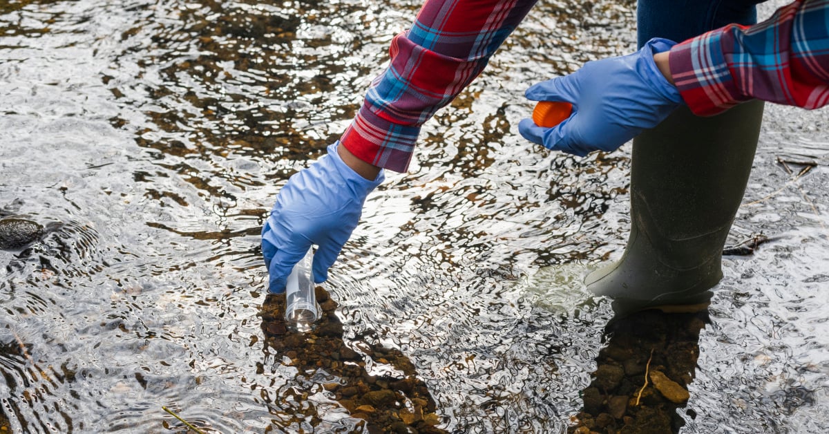 Person in wellington boots and rubber gloves scoops water into a container for testing.