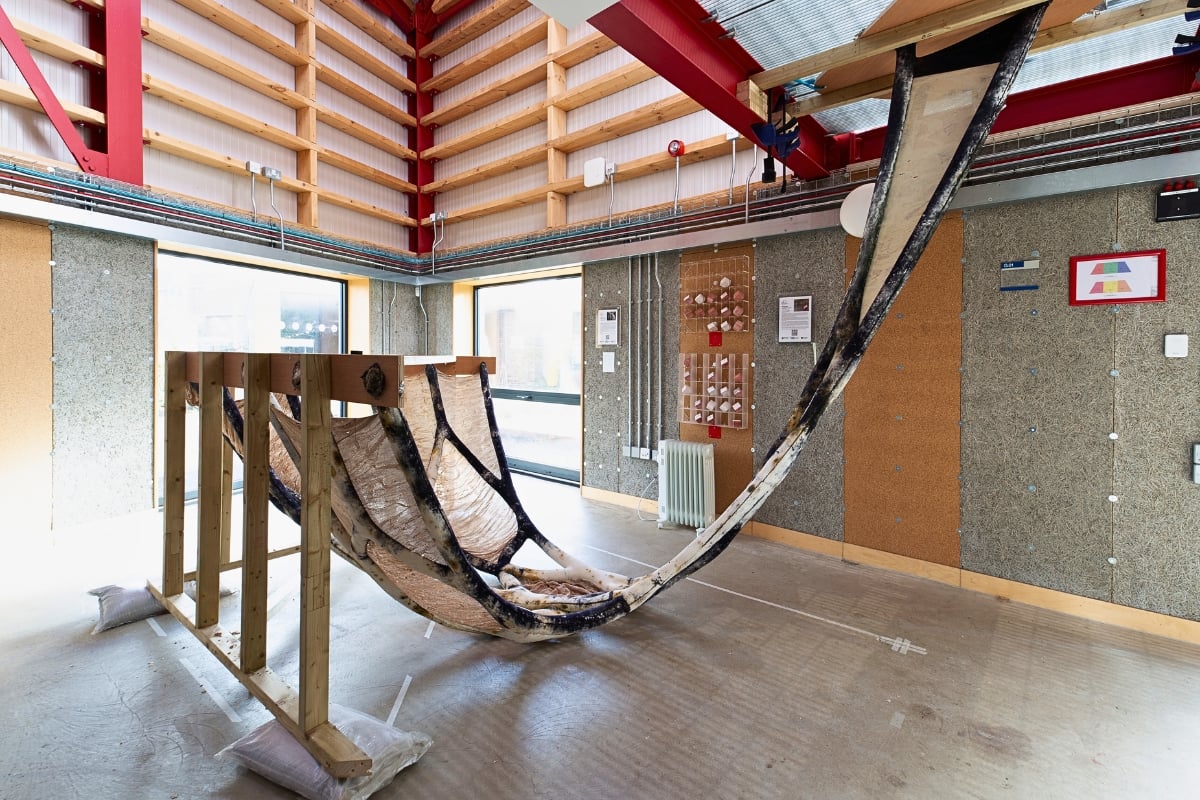 Structure hung in support system